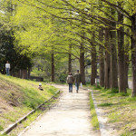 コロナ対策の散歩道(菩提池 2020年4月16日)