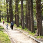 コロナ対策の運動散歩(菩提池 2020年4月16日)