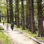 コロナ対策の運動散歩(菩提池 2020年4月16日)