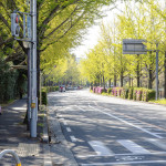佐竹台東の入り口(佐竹台6丁目バス停 2020年4月25日)