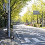 佐竹台東の入り口(佐竹台6丁目バス停 2020年4月25日)