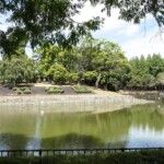 草刈りの後 (菩提池 2020年6月17日)