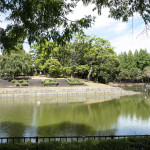 草刈りの後 (菩提池 2020年6月17日)