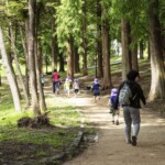 梅雨明けが待ち遠しい (菩提池 2020年7月16日)