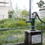 地域防災力(佐竹台2丁目 2020年9月6日)