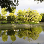 佐竹公園(2021.7.18 菩提池)
