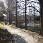 初散歩(2022.1.4. 菩提池 )
